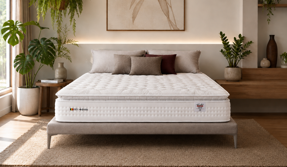 Quarto aconchegante com colchão sobre base, decoração natural e plantas para quarto próximas à janela e à cabeceira
