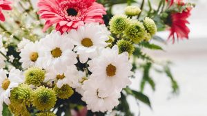 Arranjo de gérberas coloridas, ilustrando plantas para quarto que trazem beleza, frescor e delicadeza à decoração