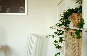 Hera em cestos naturais sobre prateleira branca, ilustrando plantas para quarto em uma decoração leve e aconchegante