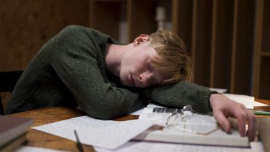 Foto de Como o sono afeta seus estudos?