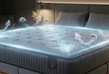 Foto de Ácaro no colchão: como identificar, reduzir e proteger seu sono