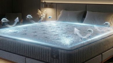 Foto de Ácaro no colchão: como identificar, reduzir e proteger seu sono